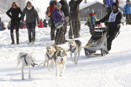 Lenk 2012 SM